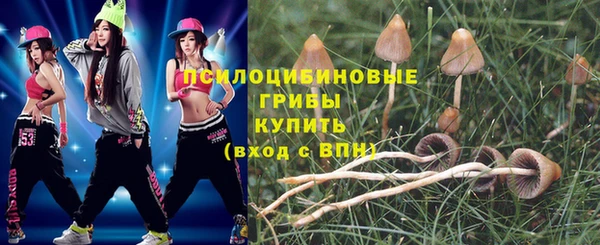молекула духа Армянск
