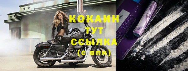 кристаллы Гусь-Хрустальный