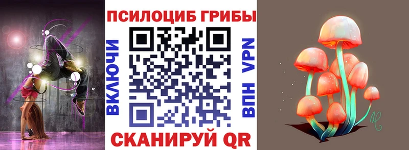 Псилоцибиновые грибы MAGIC MUSHROOMS  Сурск 